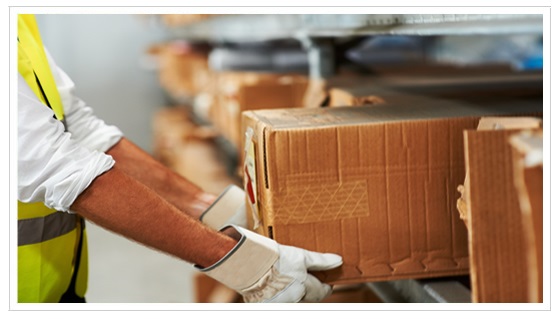 Logistica